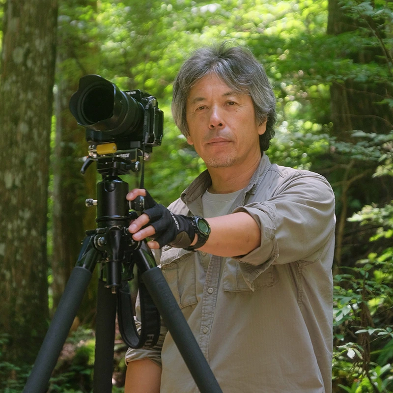 辰野清