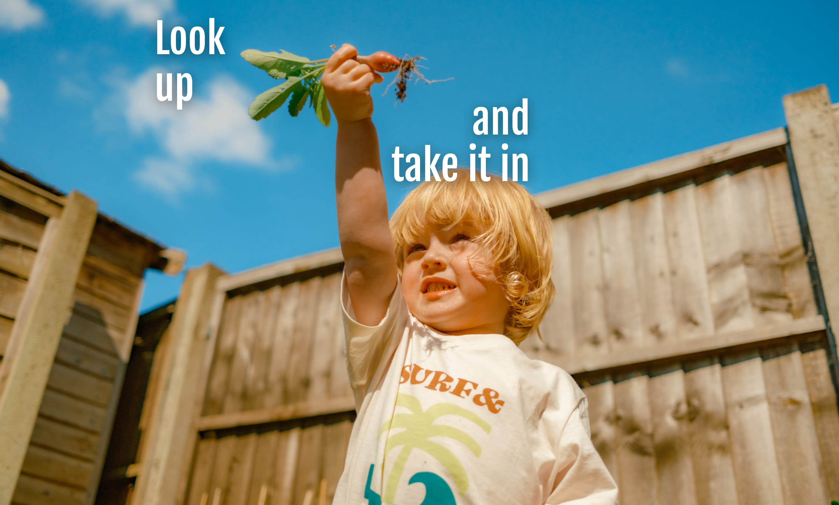 Image of a boy holding up a plant with the text look up and take it in