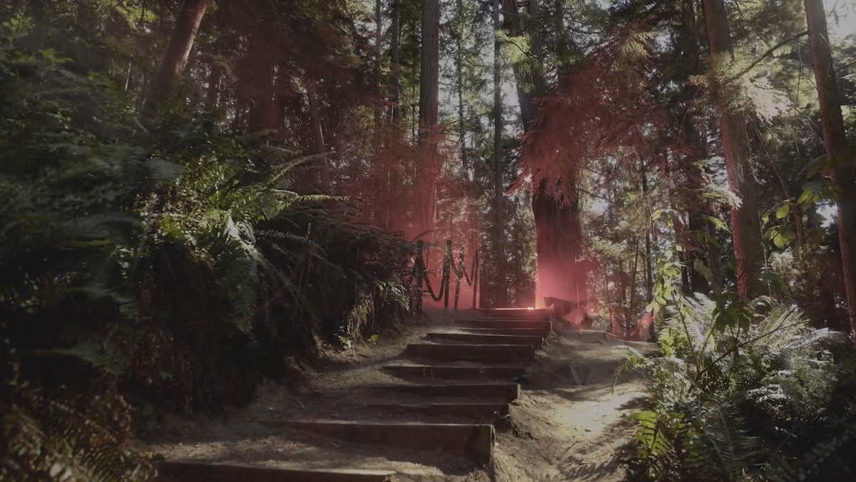 A set of stairs built into a hillside leads up through a forest