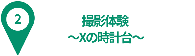 ピン